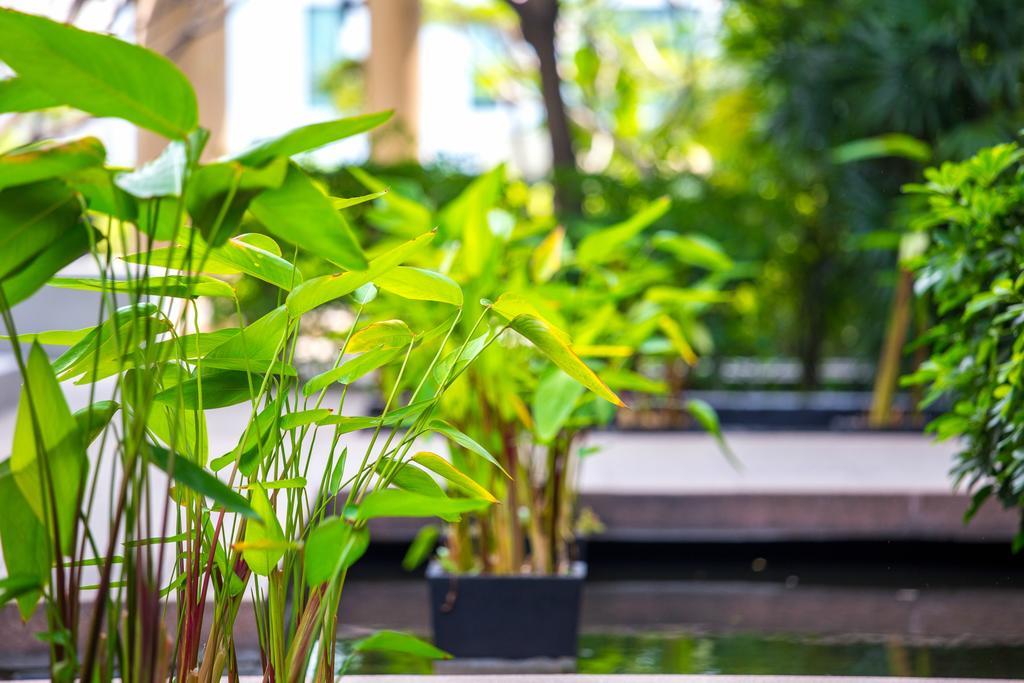 The Capital Resort @ Sukhumvit 50 Bangkok Exterior foto Plants in a water garden